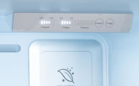 Electronic Temperature Controls